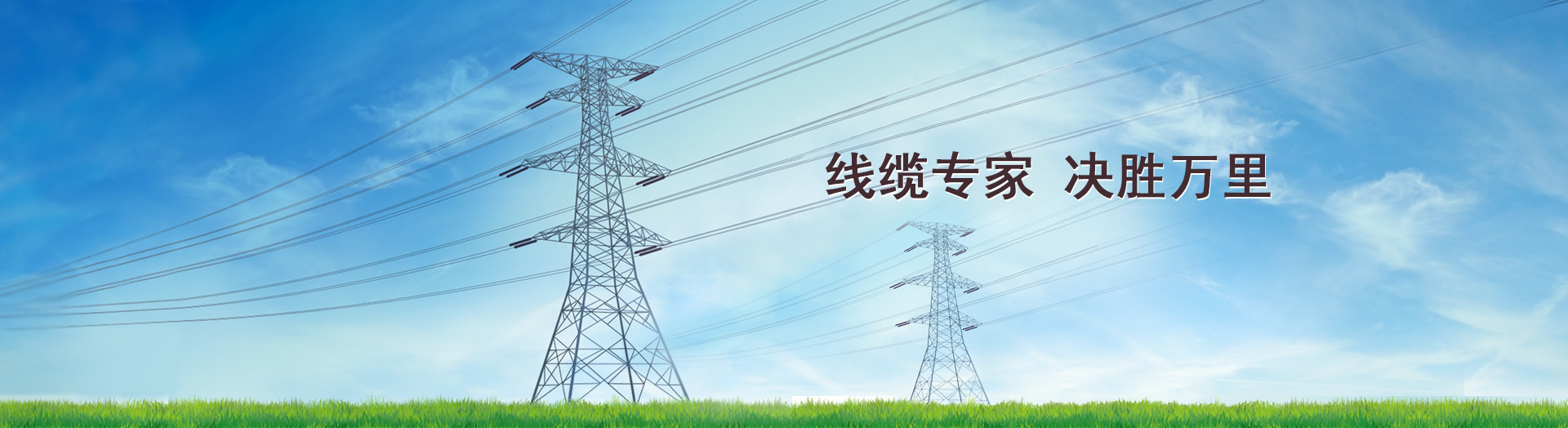 線(xiàn)纜專(zhuān)家 決勝萬(wàn)里
